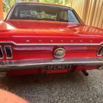 Simply red 1